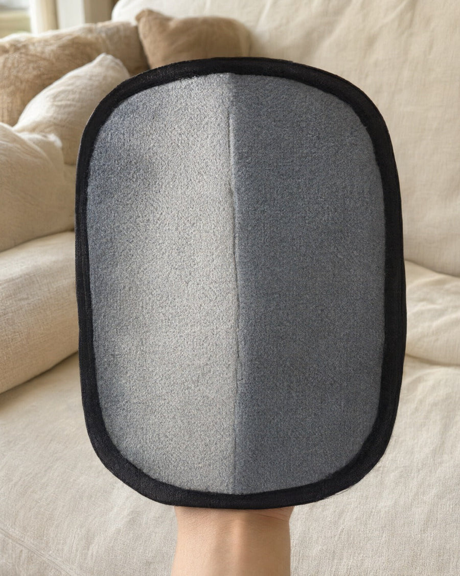 The pet hair glove